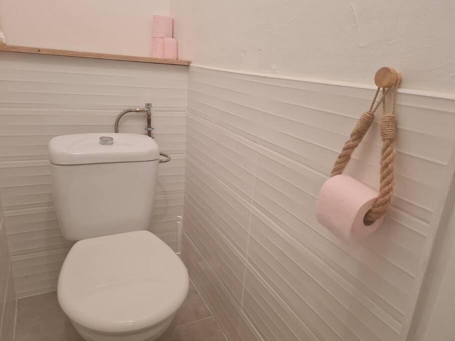 Appartement L'Escale Charliendine à Charlieu Extérieur photo